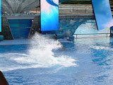 Splash time, rotating screens in the background.