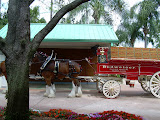 One way to deliver beer.