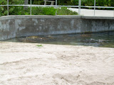 Grand Cayman 082.JPG
