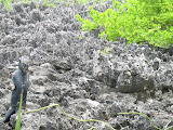 It has some pretty strange rock formations that look like they belong to Hell.