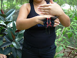 The guide showing us the butterflies.
