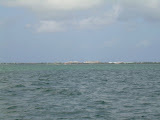 Grand Cayman 138.JPG