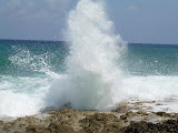 It almost resembles a dolphin or whale blowing air out of their holes when they surface; I suppose that's where the name comes from.