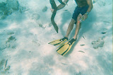 Moray eel, he came after me a bit later.
