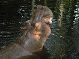 Big stretch!