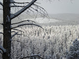 Another beautiful shot of the valley below.