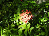 DSCN0676.JPG
