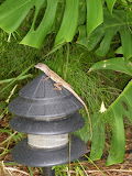 DSCN0687.JPG