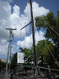 DSCN0701.JPG