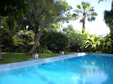 DSCN0745.JPG