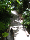 DSCN0746.JPG