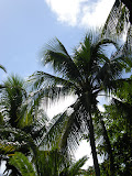 DSCN0768.JPG
