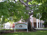 DSCN0770.JPG