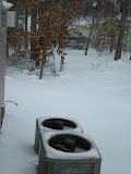 DSCN0934.JPG