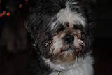 Close up of little man giving the camera the eye.