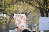 DSC_0100.JPG