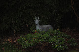 DSC_0008.JPG