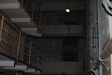 DSC_0111.JPG