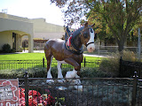 DSCN0958.JPG