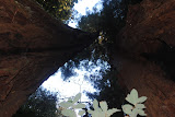 DSC_0217.JPG