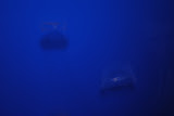 DSC_0352.JPG