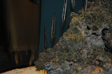DSC_0357.JPG