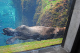 DSC_0396.JPG