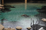 DSC_0421.JPG