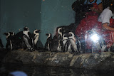 DSC_0465.JPG