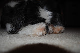 DSC_0003.JPG