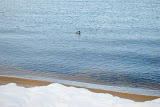 DSC_0066.JPG