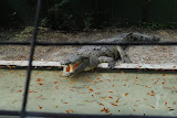 DSC_0073.JPG