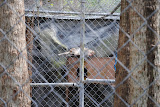 DSC_0078.JPG