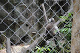 DSC_0081.JPG