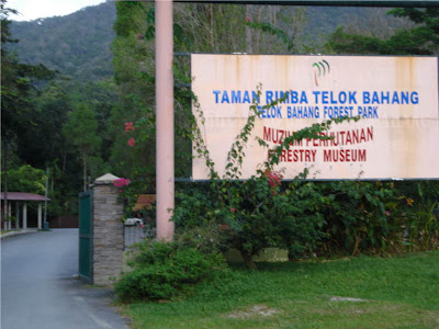 Penang Forest Recreation Park - Taman Rimba Teluk Bahang