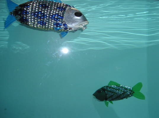 [roboticfish-4[4].jpg]