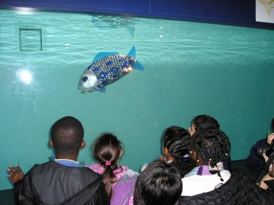 [roboticfish-1[11].jpg]