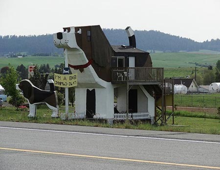 [köpek otel[2].jpg]