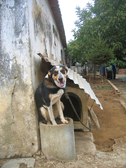 Imagem