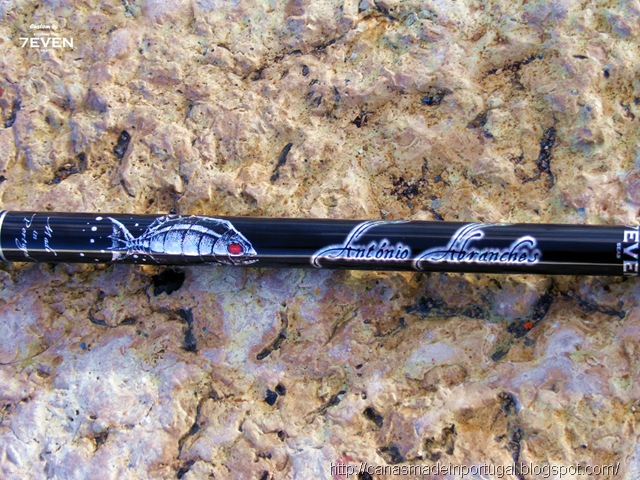 [antonioabranches-graphic3[6].jpg]