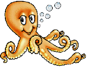 pulpo1
