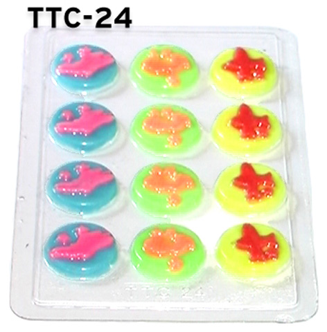 TTC24