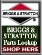 Briggs and Stratton