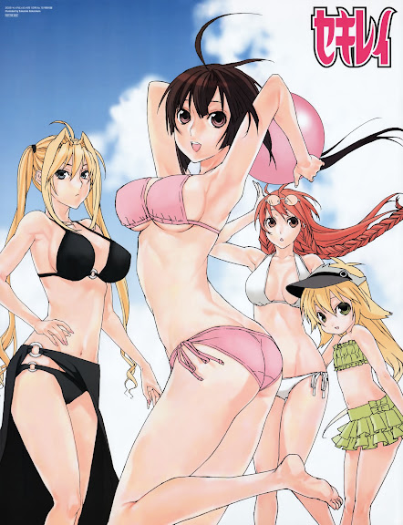 Sekirei [12/12 + 1 Ovas][51-65Mb][Mp4][Jap, Subs esp]