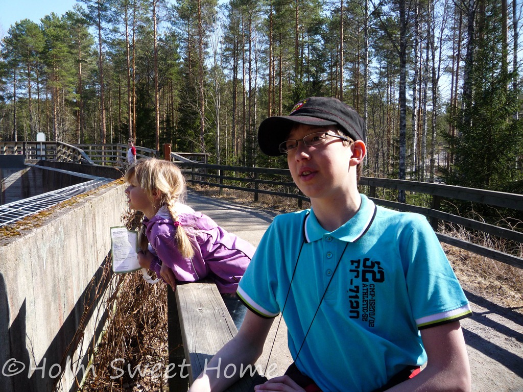 [P1040459[5].jpg]