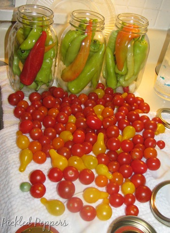 [09 22 Peppers[7].jpg]