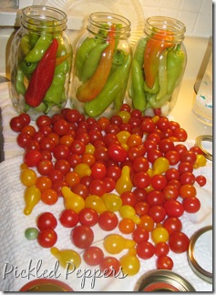 09 22 Peppers