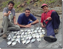 sargoboya_sargotrucha sargoboya_sargotrucha