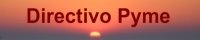 Perfil de Directivo Pyme