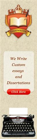 Essay Writing Service